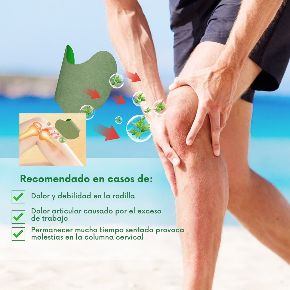 🌿 Parches Térmicos Herbales – Tu Solución Rápida y Efectiva para los Dolores Musculares