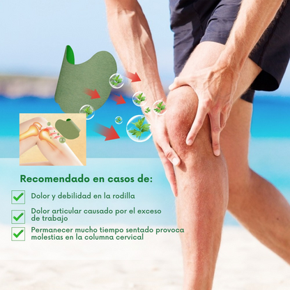 🌿 Parches Térmicos Herbales – Tu Solución Rápida y Efectiva para los Dolores Musculares
